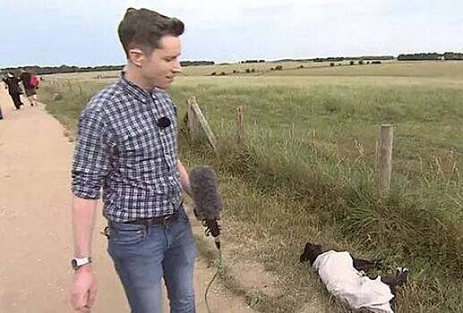 Ведущие шоу прервали прямое включение из-за собаки