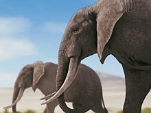 Субботний дайджест скриншотов (14 февраля 2026)