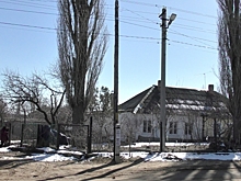 Пожилая волгоградка боится, что старый тополь упадет на ее дом