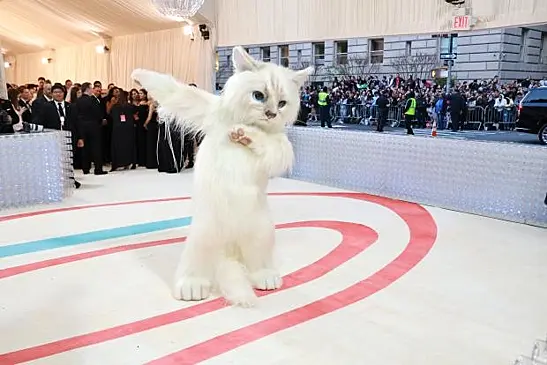 Кошка Карла Лагерфельда не пришла на Met Gala, но ее дух был