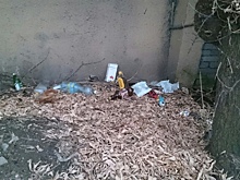 В Складочном тупике убрали свалку