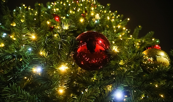 Правило Рождества «до первой звезды нельзя» опроверг священник