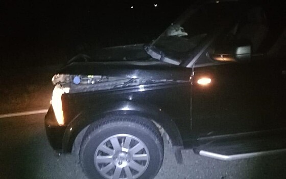 В Пителинском районе Land Rover насмерть сбил пешехода