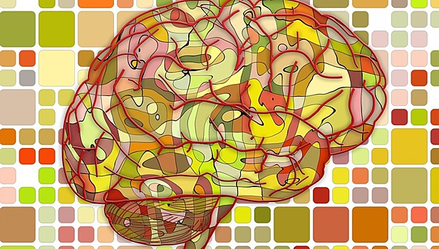Учёные разобрались, как мозг формирует иллюзии