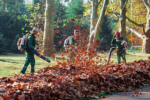 Привлечь студентов к бесплатной уборке улиц хотят власти Новороссийска