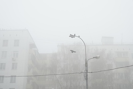 Туман повлиял на работу дорожных камер в Москве