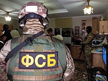 ФСБ нашла занимавшихся лжеминированием школ подростков