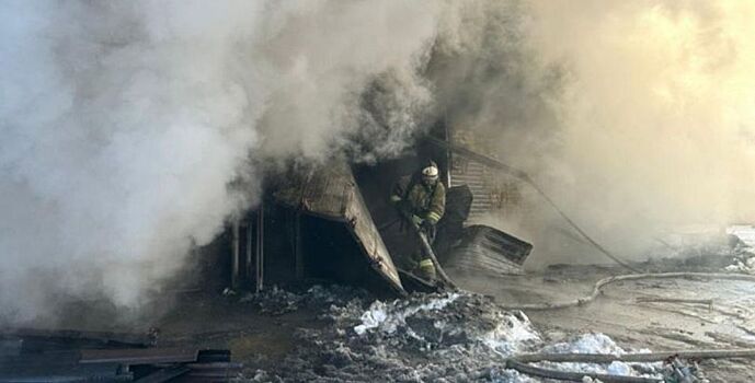 Пять человек погибли в пожарах за неделю в Ростовской области