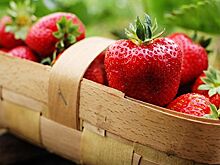 Финляндия с декабря ограничит ввоз ягод из России