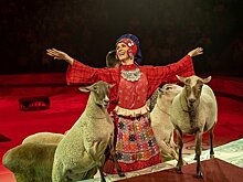 Комитет Госдумы не поддержал запрет на использование животных в цирках
