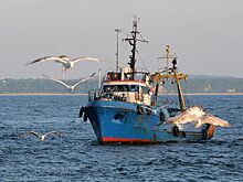 В Японском море пропало рыболовецкое судно «Восток»