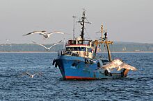 В Японском море пропало рыболовецкое судно «Восток»