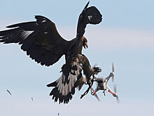 Готовы ли российские аэропорты к налету дронов