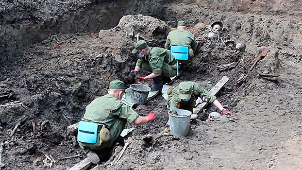 Останки более 300 защитников Ленинграда обнаружили поисковики ЗВО