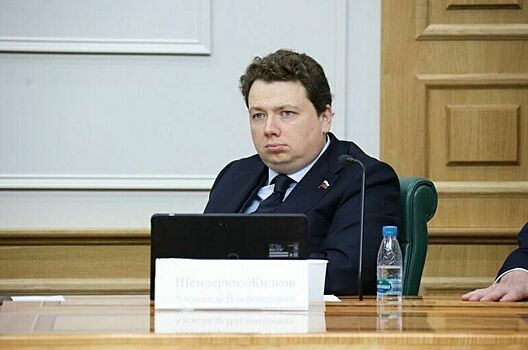 Сенатор Шендерюк-Жидков: Лимиты на ипотеку не вызовут резких изменений на рынке