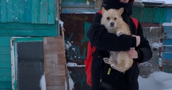 В Челябинской области 13летний школьник построил дом и