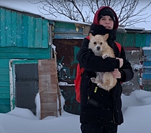 В Челябинской области 13-летний школьник построил дом и снимает о нем ролики для Youtube