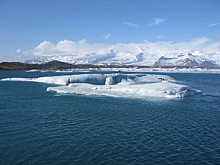 «Арктическую перевалку» «НОВАТЭКа» включили в санкционный список США
