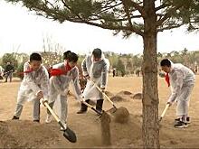 «Зелёная» миссия, Экспо на Хайнане, вакансии для выпускников, фильмы и дипломатия - смотрите «Китайскую панораму»- 556