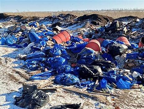 АО "Экология" осмотрело свалку в Большечерниговском районе