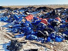 АО "Экология" осмотрело свалку в Большечерниговском районе