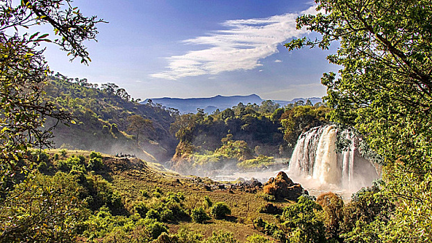 В Эфиопии борются с обезлесением посредством специальных правительственных программ