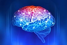 Нейробиологи озадачены нестандартным явлением в человеческом мозге