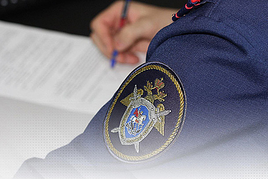 Дело об избиении пожилого инвалида под Новосибирском взял на контроль Бастрыкин