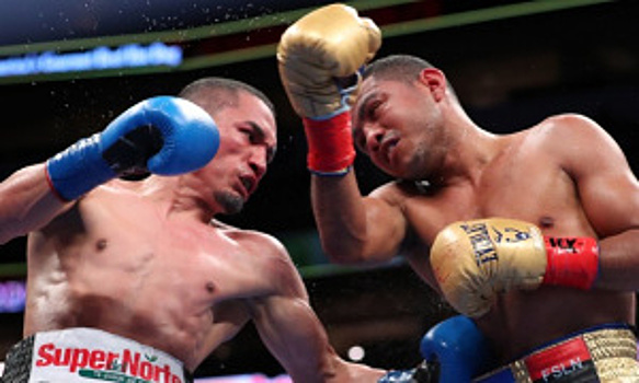 Судья Карлос Сукре отстранён за бой Гонсалес – Эстрада 2