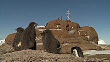 О погибших в Антарктике полярниках сняли фильм