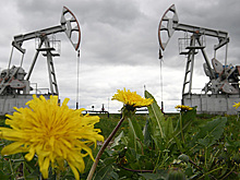 Глава "Лукойла" назвал риски цены на нефть в 100 долларов за баррель