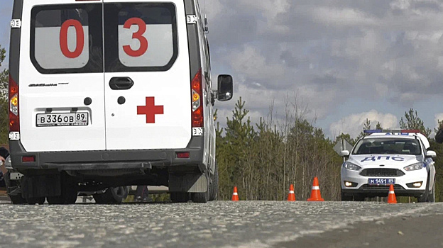 Последствия ДТП с грузовиками между Муравленко и Губкинским сняли на видео