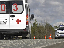 Последствия ДТП с грузовиками между Муравленко и Губкинским сняли на видео