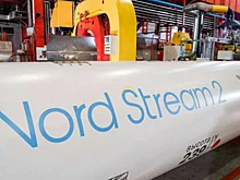 Проект "Мой гектар" отметил 6 лет.