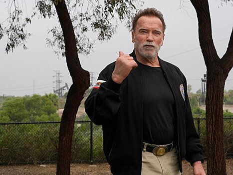 Арнольд Шварценеггер поседел, чтобы сыграть в фильме "Человек с мешком"