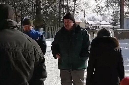 Жители села Челмужи выступили против вырубки сосен на берегу Онежского озера