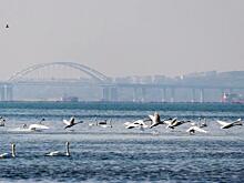 Не грузись на стороне - а то в Азовское море не пустят