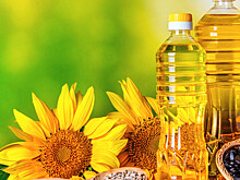 Россия полностью обеспечивает себя подсолнечным маслом: как работает завод по выпуску продукта на Ставрополье