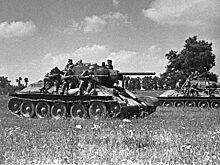 Как бабочки спасли советские танки в Великую Отечественную