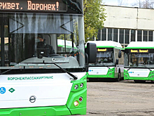 Новые низкопольные автобусы начнут работать в Воронеже с 1 декабря