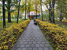 Старинная обувь, цветочные дамы. Какие выставки открываются в июне