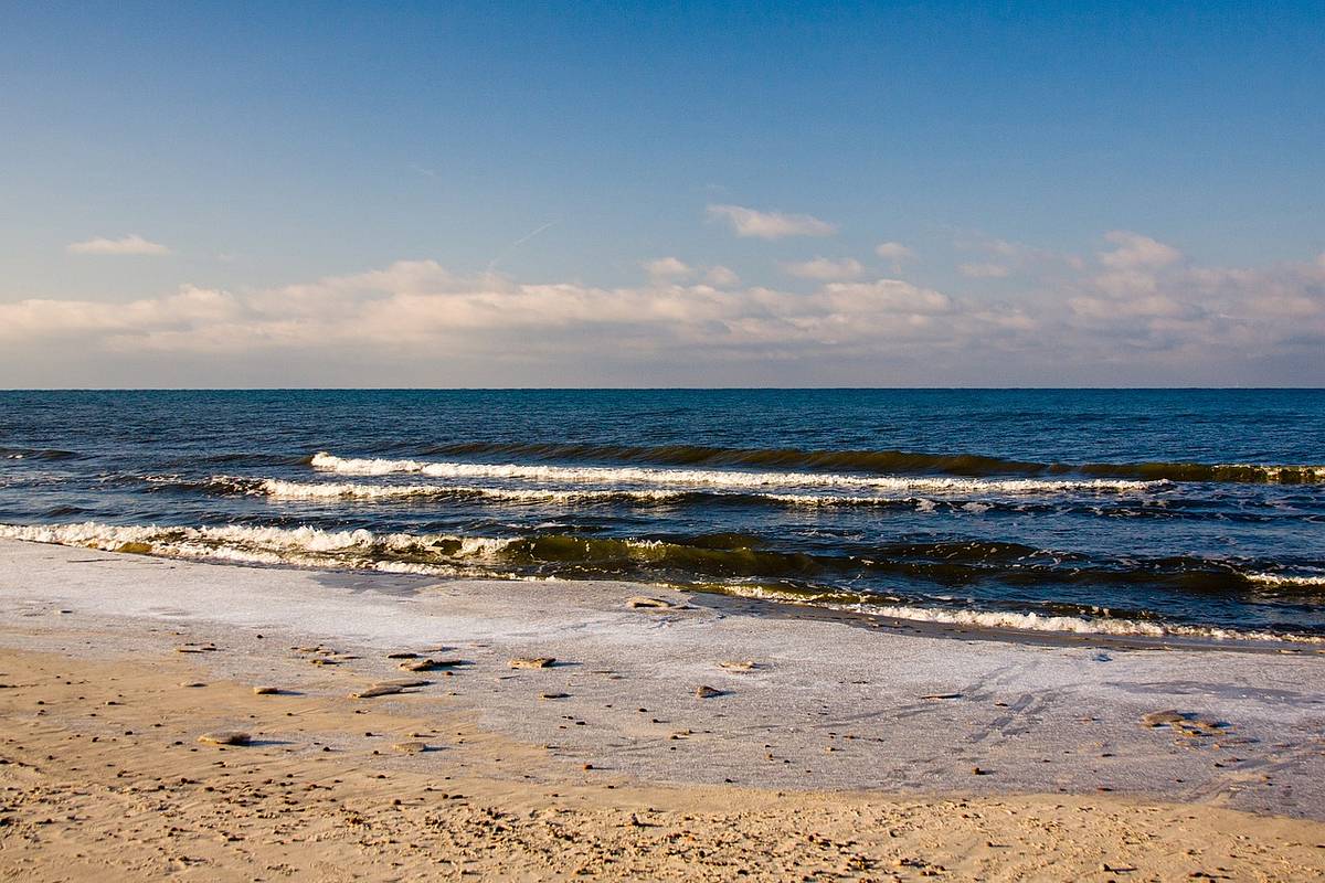 Стало известно о задержании директора нацпарка Куршская коса