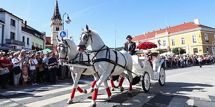 Парад конных повозок в Хорватии