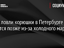 Сезон ловли корюшки в Петербурге начнется позже из-за холодного марта