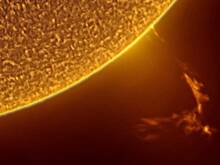 В обсерватории красноярского университета сфотографировали Солнце