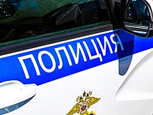 В Москве задержан мужчина, напавший на главу "Цифровых платформ"