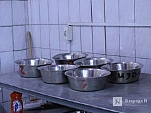 Четвероногие коллеги: как проходят будни нижегородских служебных собак