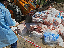 Готовь кошелек по санкциям: чего ждать от цен на продукты весной и летом