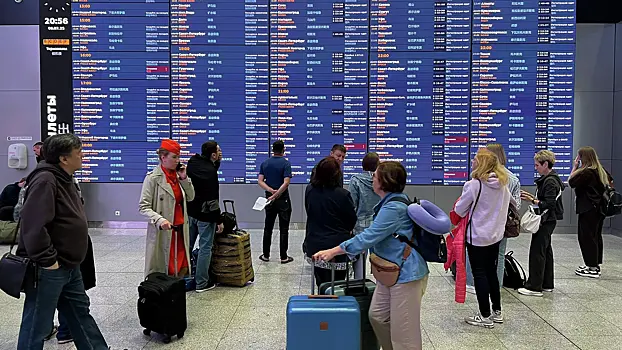 В аэропортах Москвы ввели временные ограничения