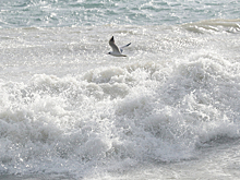 Из-за шторма в Сочи повреждена набережная